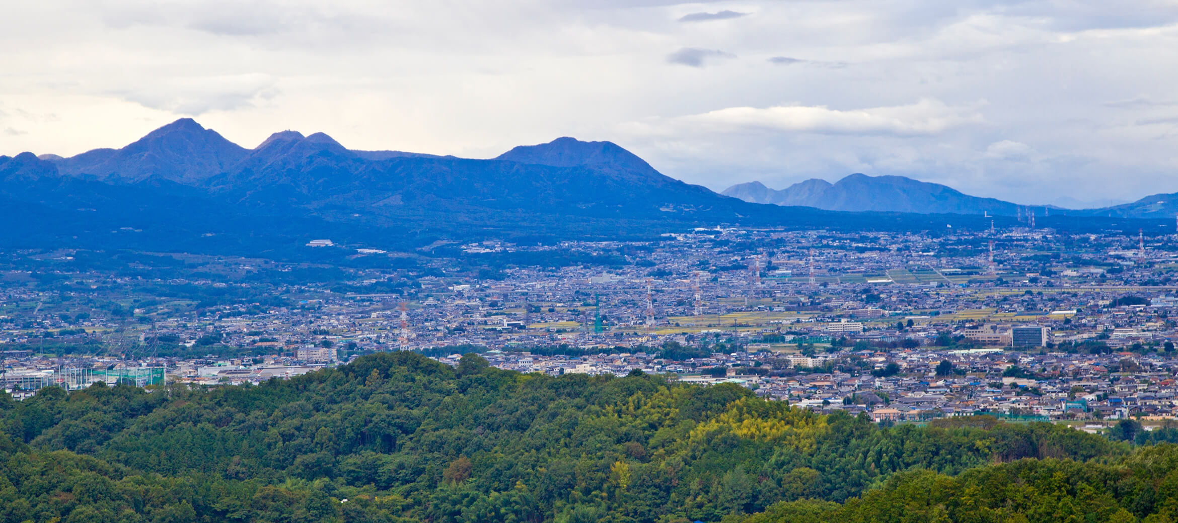 わたしたちについて